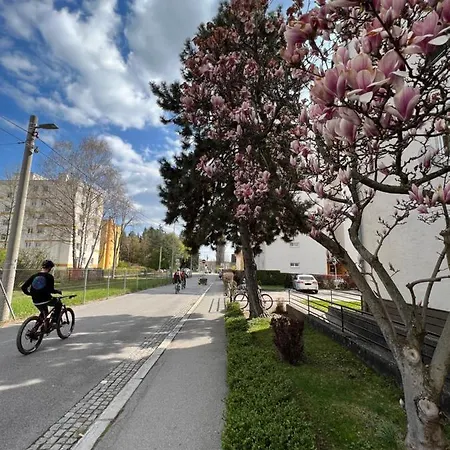 Apartment Friendly Space Graz
